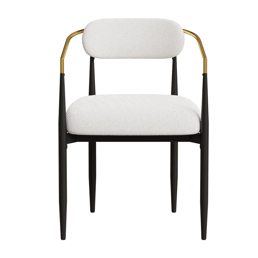 

dining chairs set of 2 white , medieval modern dining chairs, teddy velvet chairs with metal legs, kitchen, easy to assemble