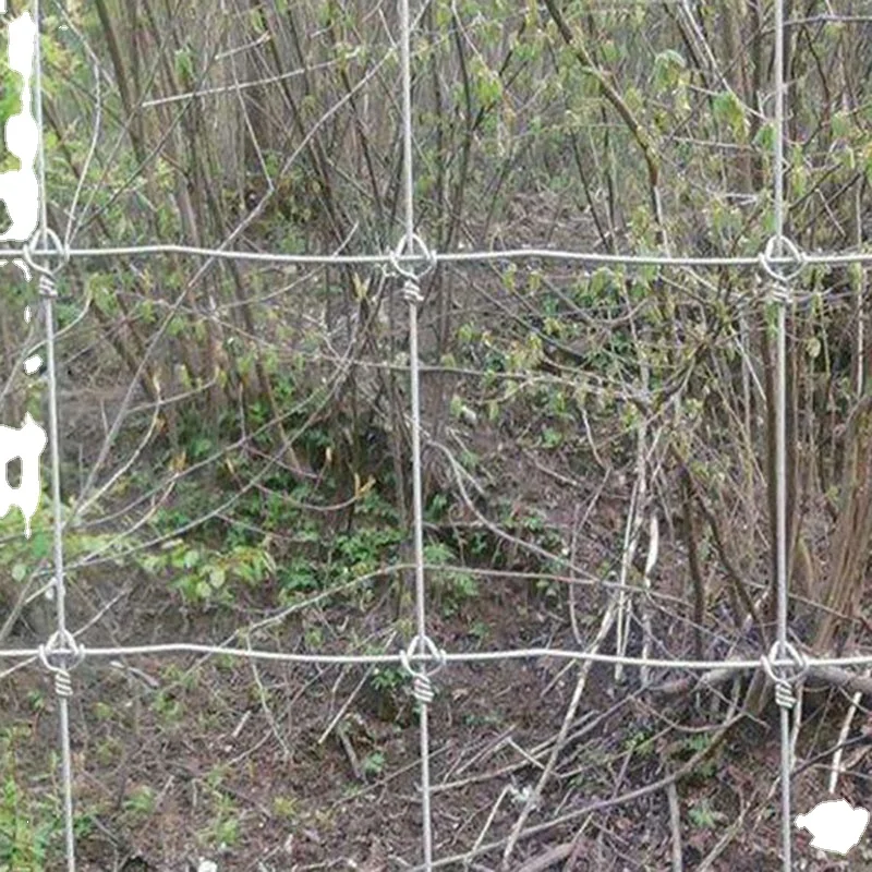 

Custom Size Fence for Animals Galvanized Sheep Farm Net Sheep and Goat Fence