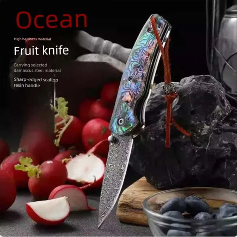 

VG-10, сталь Da Ma Shi, маленький нож, портативный, уличный, складной, для резки фруктов, крышка ножа, изысканная упаковка, складной Kn