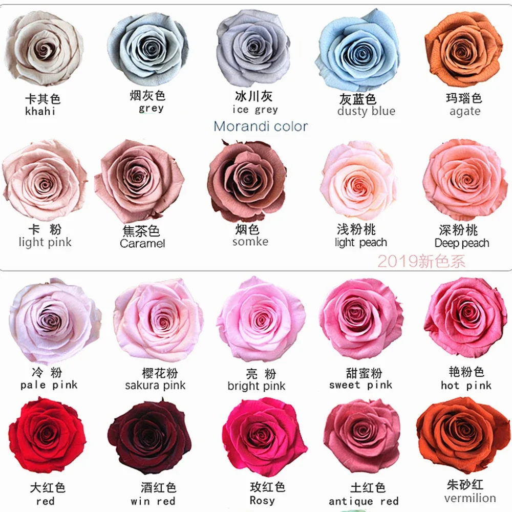 Immortal Rose Flowers, Preserved Rose,5-6cm Diameter,Mothers Day,DIY Wedding, Eternal Life Flower,Material Gift,Level A,6Pcs Box