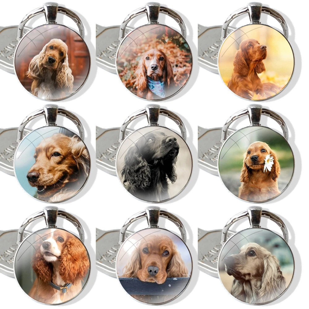 25mm Glass Cabohcon Keychain Key Rings for Women Men Jewelry Gift Cocker Spaniels dog puppies Poster