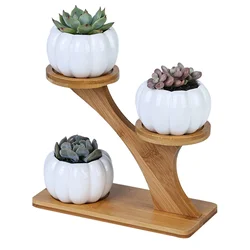 Unique Succulents Plant Pot Stand Bamboo Wood Succulent Plant Pots Holder Modern Flowerpots For Windowsill Tabletop Decor Garden