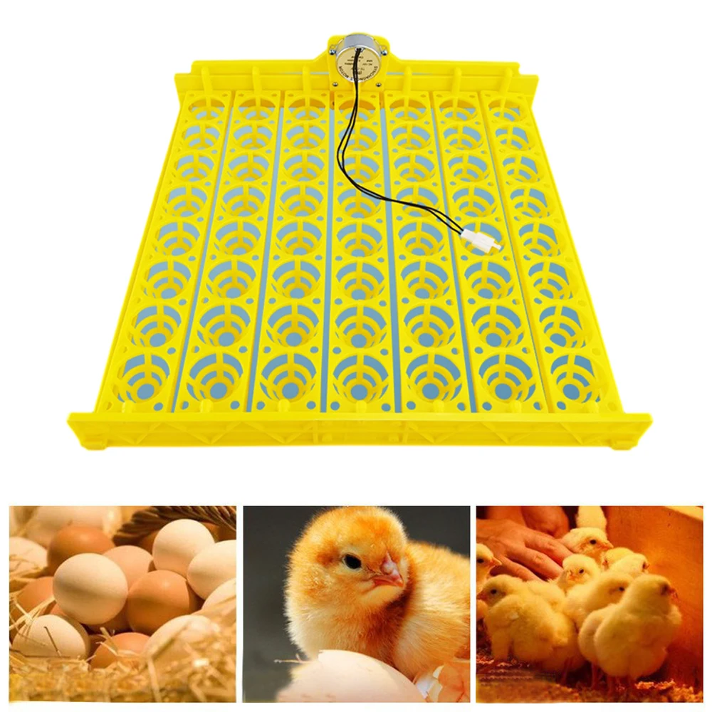 

AC220V/110V DC12V Eggs Incubator Multifunction Incubator Chicken Eggs Tray Automatic Turn Egg with Motor Eggs Incubator