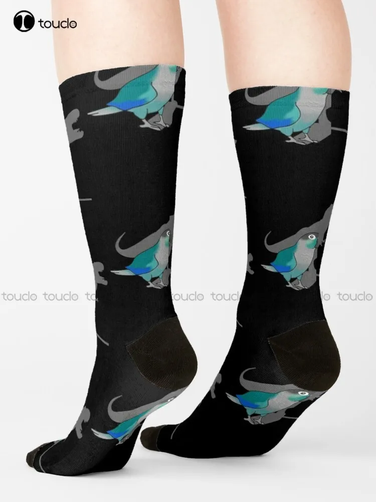 Turquoise Green Cheeked Conure T-Rex Socks Halloween Baseball Socks Men Personalized Custom Unisex Adult Teen Youth Socks