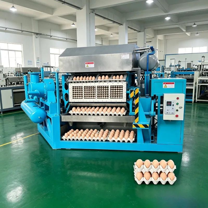 Easy Operation Heavy-Duty Egg Tray Loader Stainless Steel Egg Tray Machine Automatic Egg Tray Filling Machine