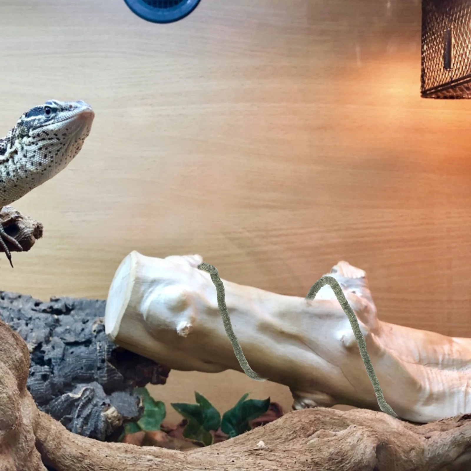 

Decorative Tree Branch Reptile Tank Vine Multifunctional Longlasting Performance No Shedding Climbing Ornament Terrarium Supply