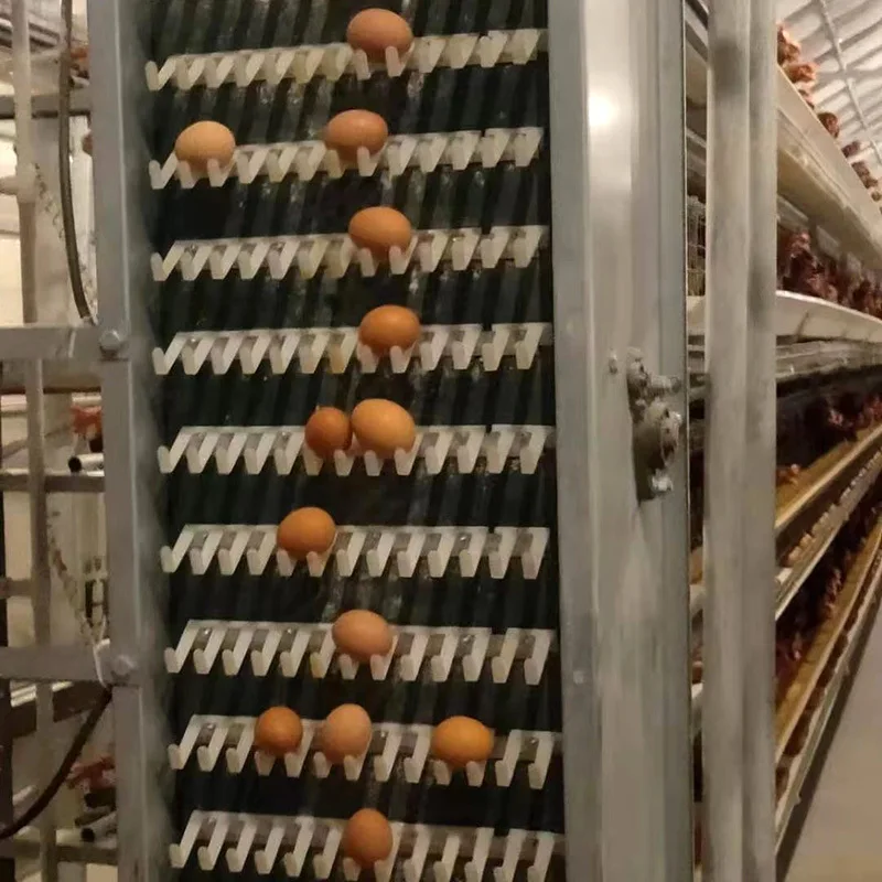 

for-Premium Customizable Layer Chicken Cages for Sale - Zhengzhou Tostrax*