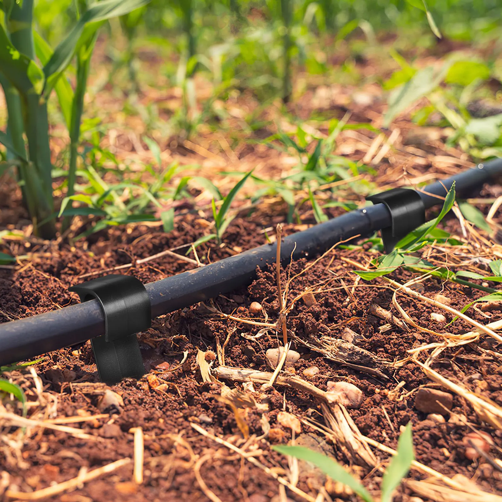 100Pcs Pe Drip Irrigation Stakes Heavy Duty Garden Hose Stabilizer for Soaker Drip Tubing Landscaping Support Stakes Irrigation