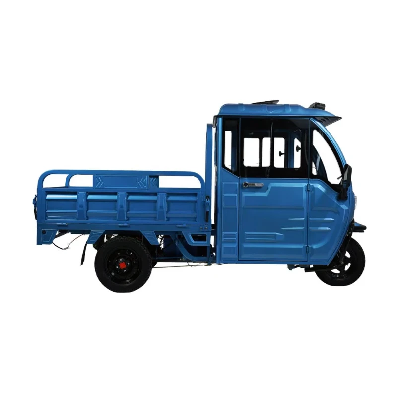 

Enclosed electric tricycle Mountaineering trolley Pull cargo High power agricultural household freight tricycle with shed load