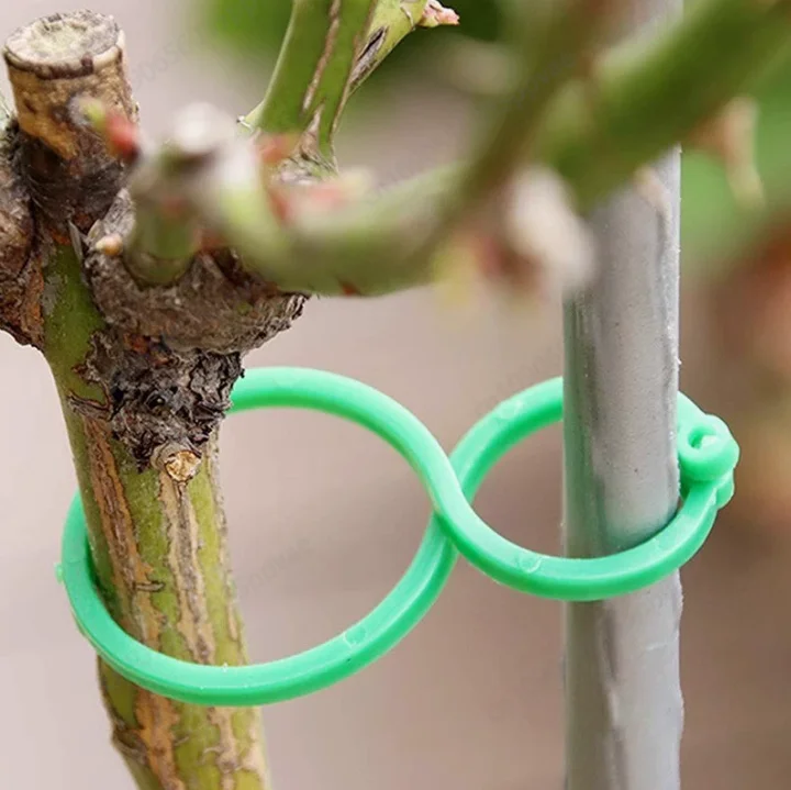 Planting Vines, Fixing Clips, Climbing Vines, Garden Effort saving Tool, Multi functional Gardening Octopus Buckle