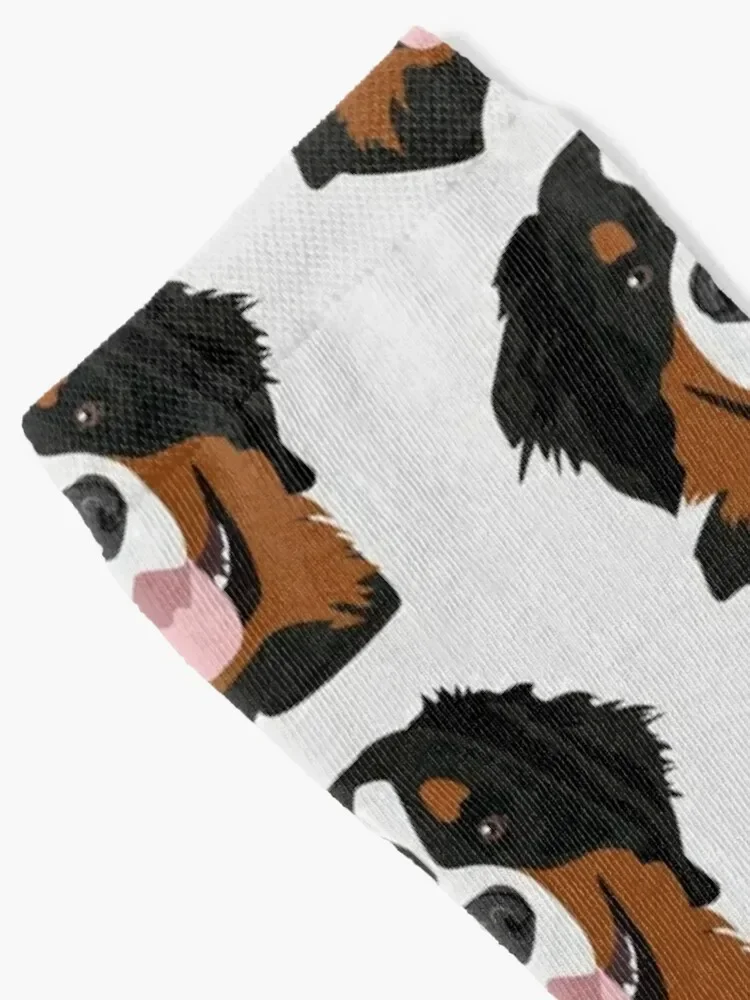 Bernese Mountain Dog - The Theo Socks Novidades meias térmicas de inverno antiderrapantes para homens e mulheres