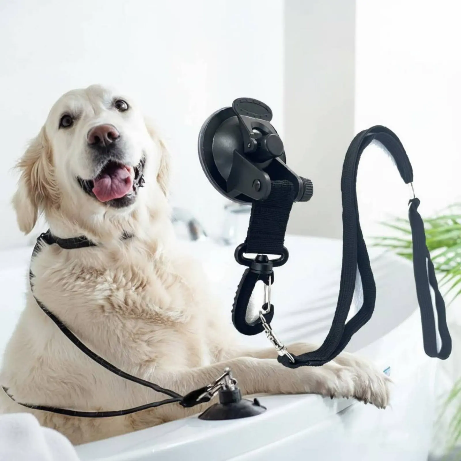 

Pet Grooming Suction Holder Leash Secure & Comfortable Suction Holder Pet Restraint Grooming Tub Restraint Loop Water-Resistant
