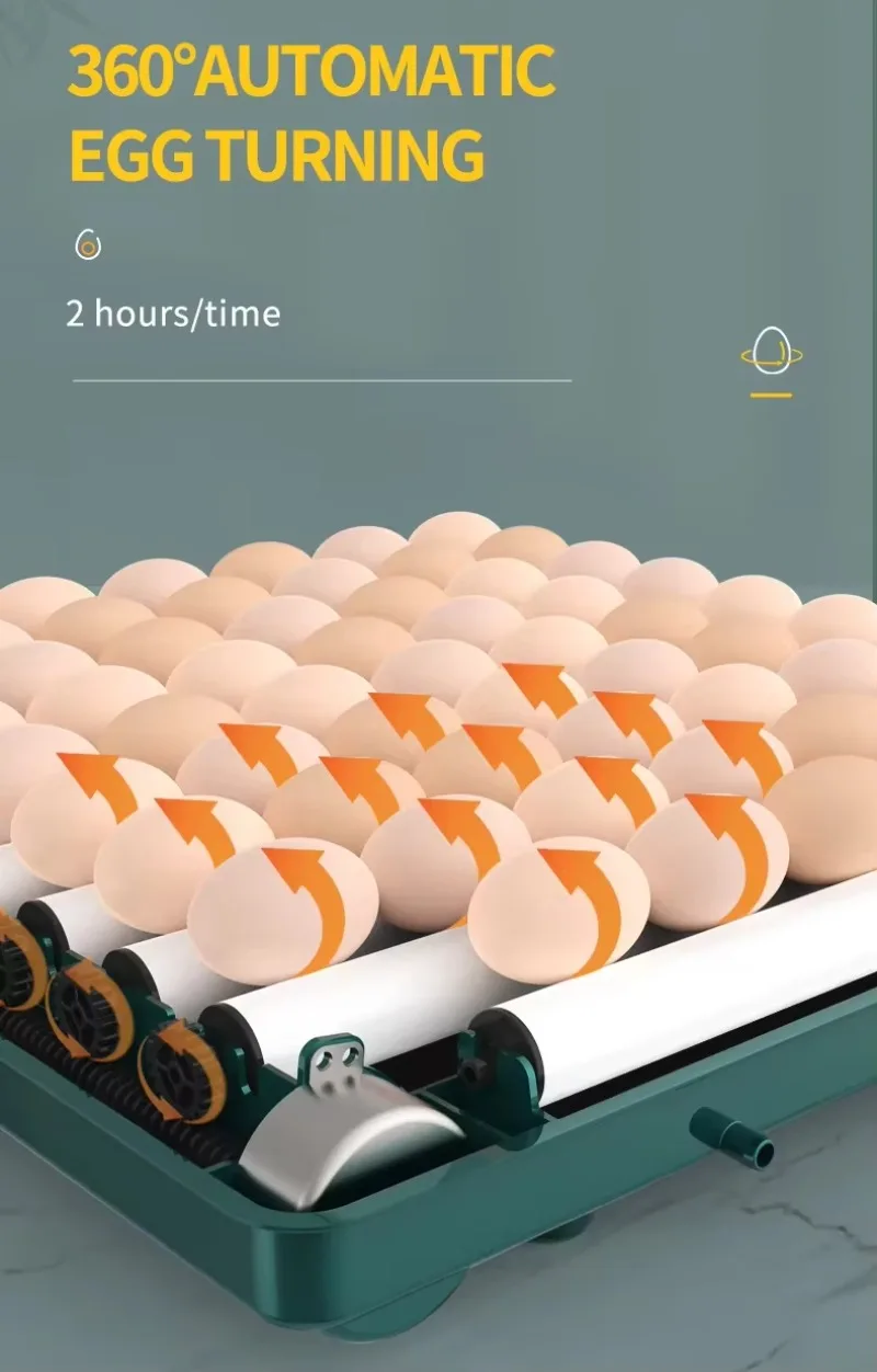 Dual Power 48pcs Automatic Egg Incubator Chicken Duck Pigeon Egg Hatching Machine Chicken Incubators