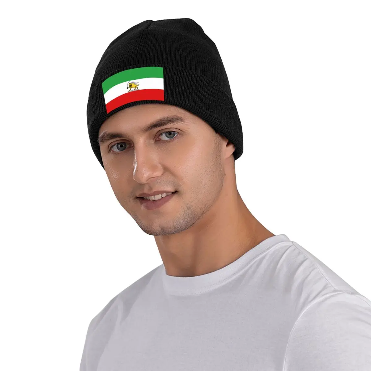 Custom Lion And Sun Iran Flag Emblem Bonnet Hats Street Knitting Hat For Women Men Winter Warm Skullies Beanies Caps