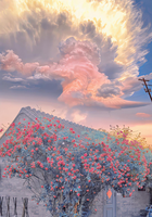 VX 18CXP Vertex 18 Engine Nitro Power 2.74cc With Pull Starter Spark-plug 02060 for 1/10 1/8 RC Model Car Buggy HSP Himoto