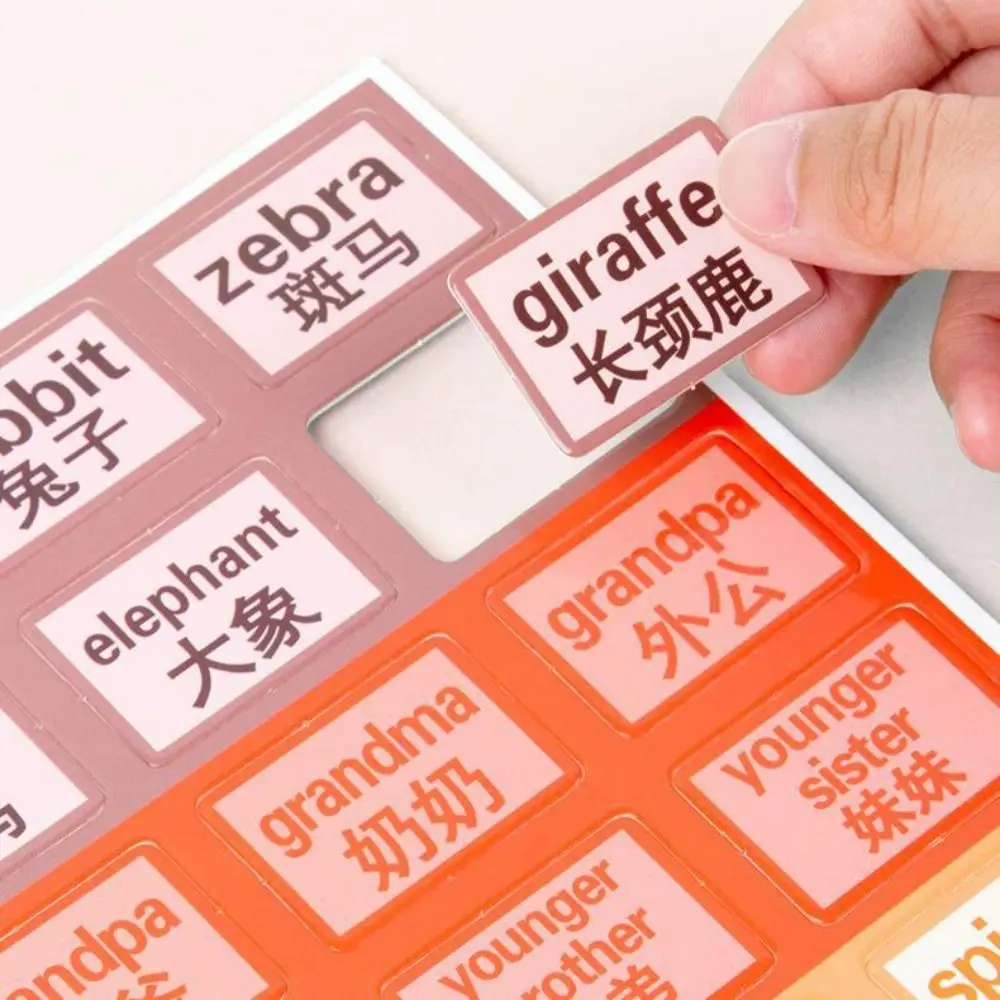 

Repeated Pasting Montessori Quiet Busy Book Education Cognition Color Classification DIY Paste Material Kit DIY Paper
