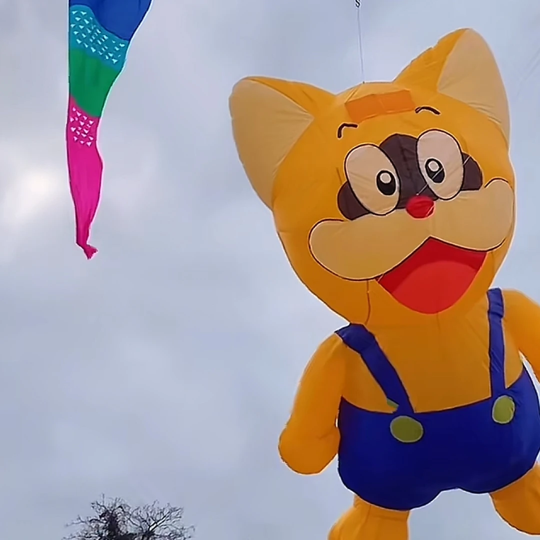 

Новинка 2026 года: надувной мультяшный кот-подвеска 3 м для белья