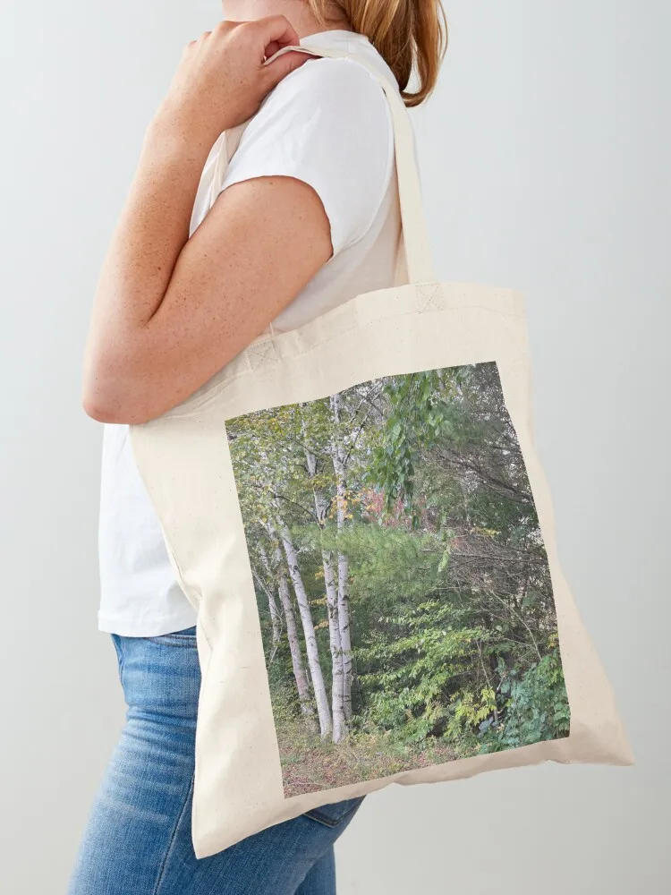 Birch Trees In Phoe…