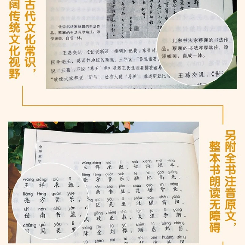 ظل سوط التنين، كلاسيكيات الشخصيات التاريخية الصينية، الروايات، كتب القراءة اللامنهجية والشعر