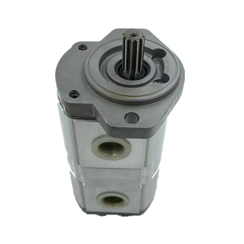 المجموعة 20 مضخة زيت التروس الهيدروليكية Casapa PLP20 PLP10 مضخة التروس PLP20.14D0-8 PLP10.6.3D0-30K2-LBB/BA-N-EL-FS