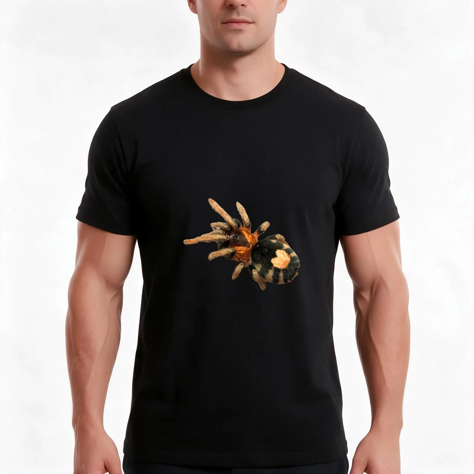 Cyriocosmus elegans Tarantula T-Shirt, Summer Casual Cotton Tee, Oversized Streetwear Tops, Vintage Graphic Print, 100% Cotton
