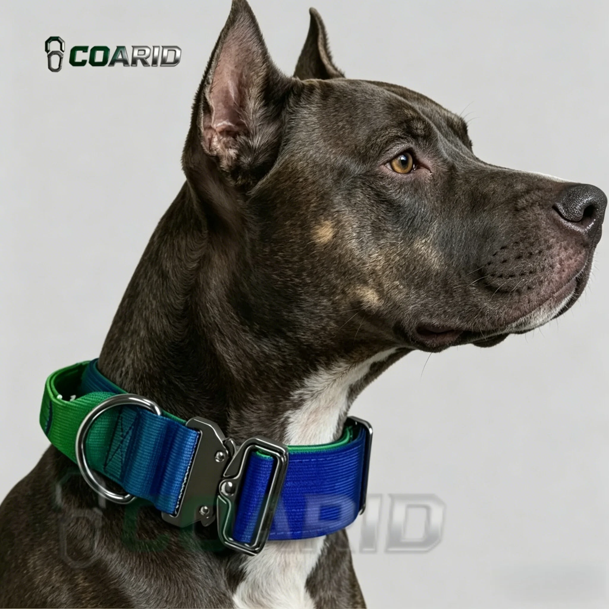 

Adjustable Gradient Color Heavy-Duty Nylon Dog Collar with Metal Buckle 3.8-5.0cm Width for Walking Training Outdoor Pet Collar
