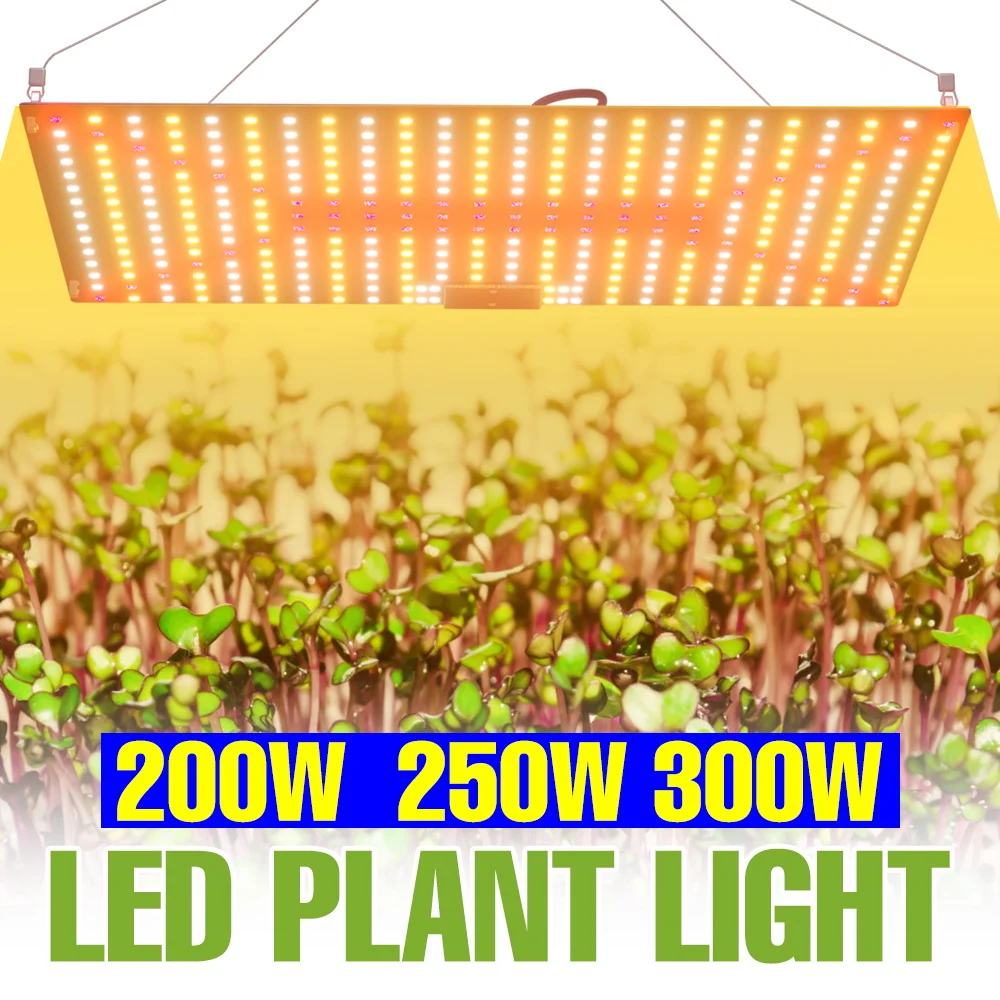 

300W LED Full Spectrum Plant Grow Light UV/IR Quantum Board Hydroponic Fill Lamp Greenhouse Vegs Succulent Cultivation Lighting