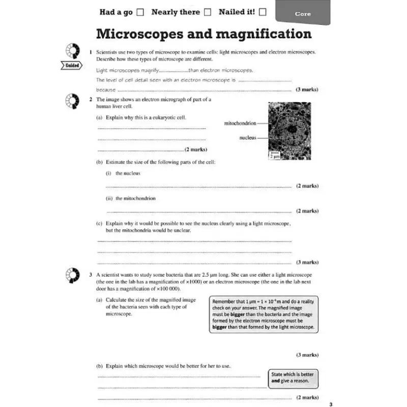 بيرسون مراجعة Edexcel GCSE بيولوجيا أعلى مراجعة المصنف ل 2025 و2026 التقييمات والامتحانات ستيفن هوير 9781292131764