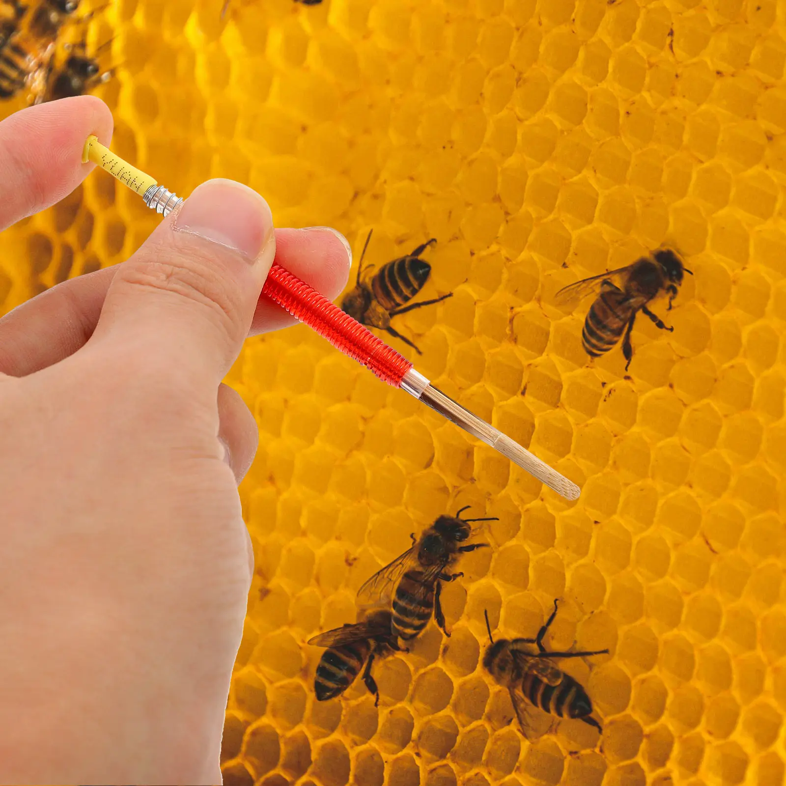 Worm Moving Needle Beekeeping Tool Professional Grade ABS and Bamboo Construction Easy to Carry Small Lightweight Bee Transfer