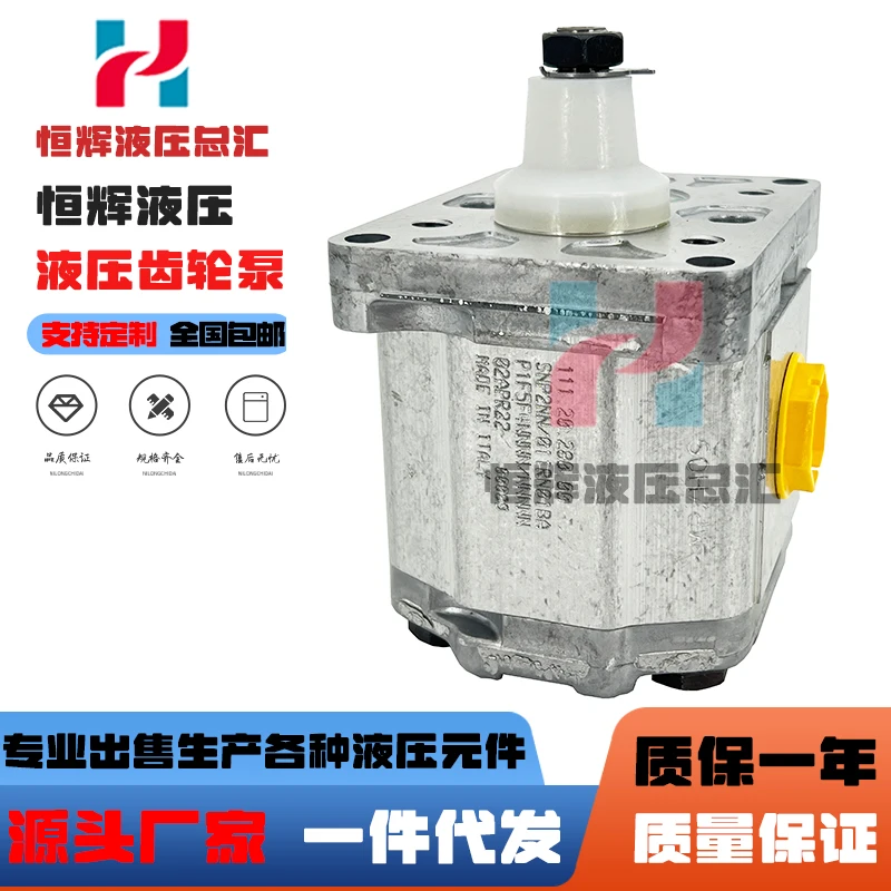 Gear pump SNP1 SNP2NN SNP3 SKP1 SNM2 hydraulic pump