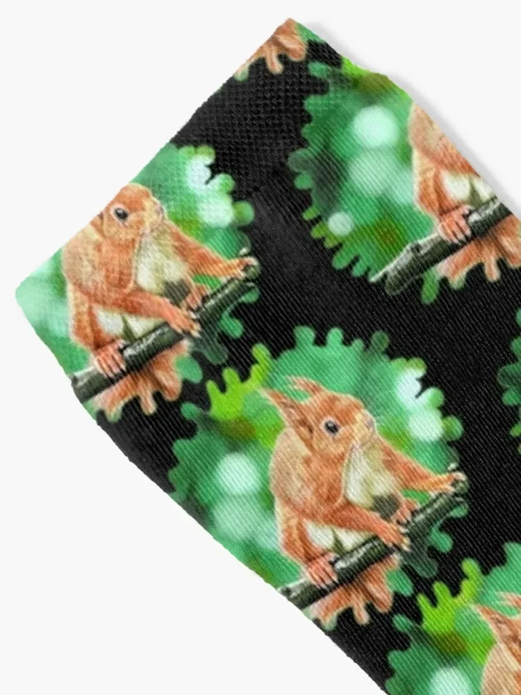 red squirrel Socks Men's cool basketball Stockings man Boy Socks Women's