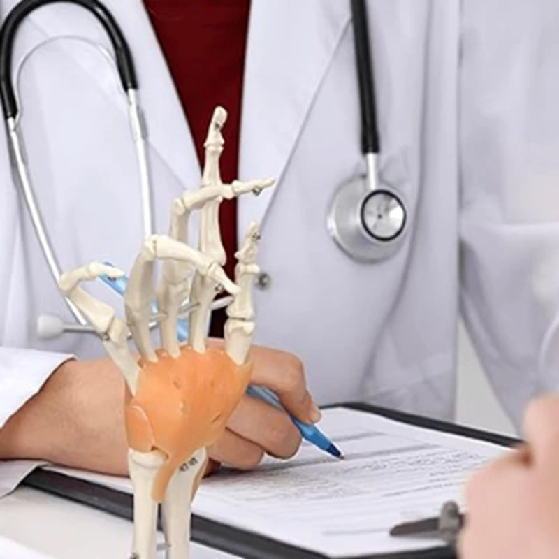 인대가 있는 인체 손 관절 모델, 유연한 1:1 과학 생활 크기, 손가락 모델, 사용하기 쉬운 교육 도구