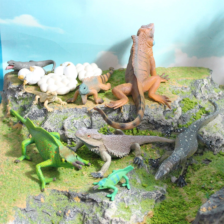 محاكاة الحرباء التنين الملتحي رصد السحلية Iguana دورة نمو الحياة الزواحف نماذج للحيوانات أرقام ألعاب تعليمية