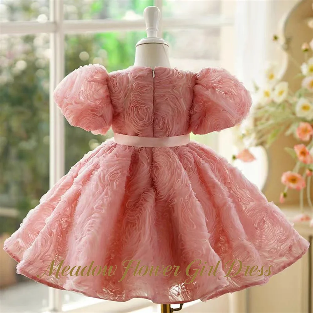 Meadow Dusty Pink Princess Girls Dress Round Neck Short Sleeve Ball Gown Party Tutu Dresses with 3D Floral Tutu Fluffy Prom Gown