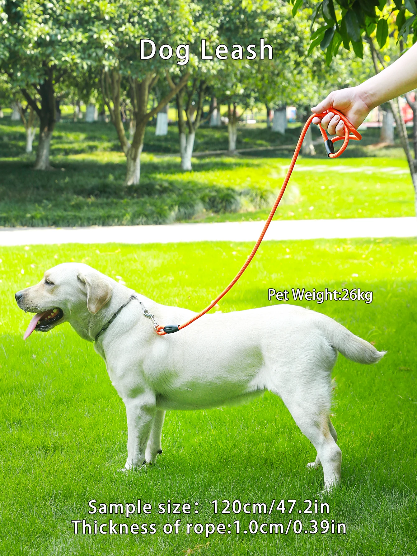 1 Pc Orange Durable Reflective Heavy Duty Dog Leash Climbing Rope Dog Leash Dog Leashes Training for Small Medium Large Dogs