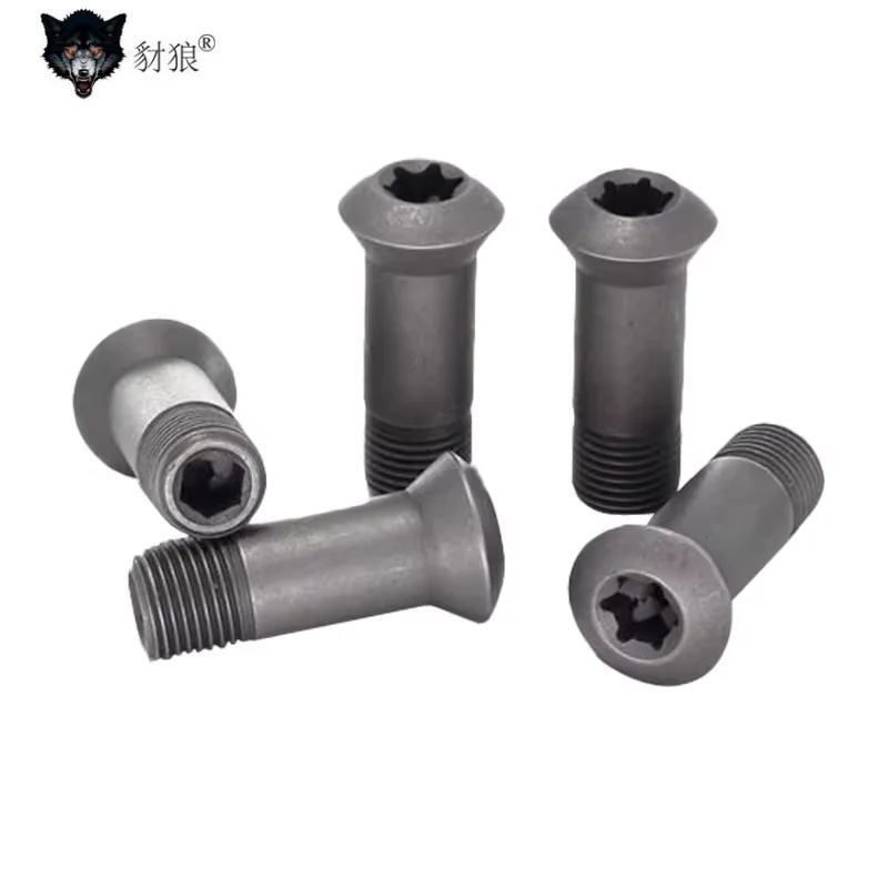 5pcs sekrup ball arbor T2139 ABPF BNML Walter milling screw grade 12.9 R4 R5 R6 R8 R10 R15 R16 T2139 Walter cutter bar screw