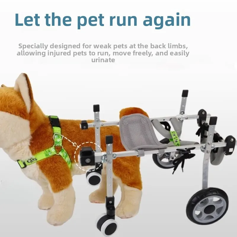 Thumbnail 3 - #28 Ranked Pet Agility Equipment Picks in 2026