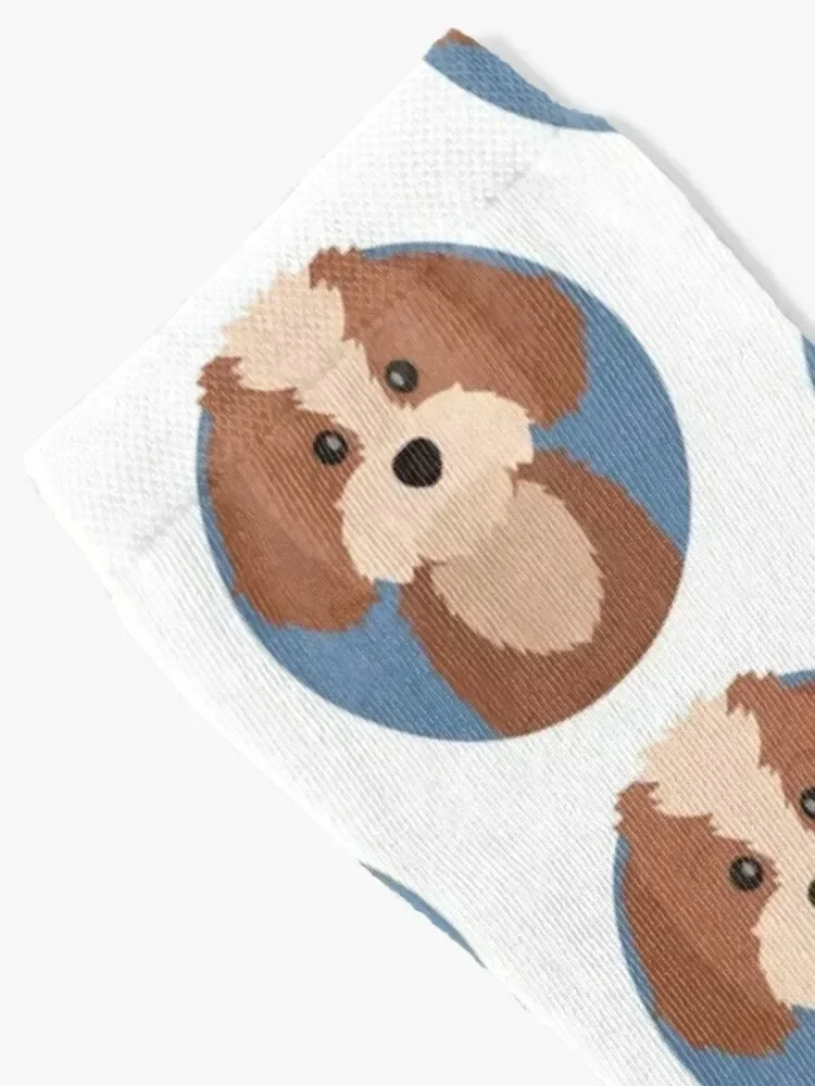 Cavapoo Socks Wholesale Stockings compression kawaii designer brand Male Socks Women's