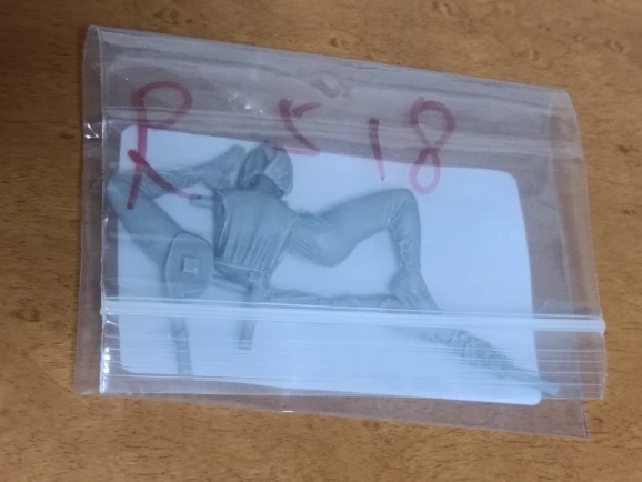 Buyer photo of this resin kit
