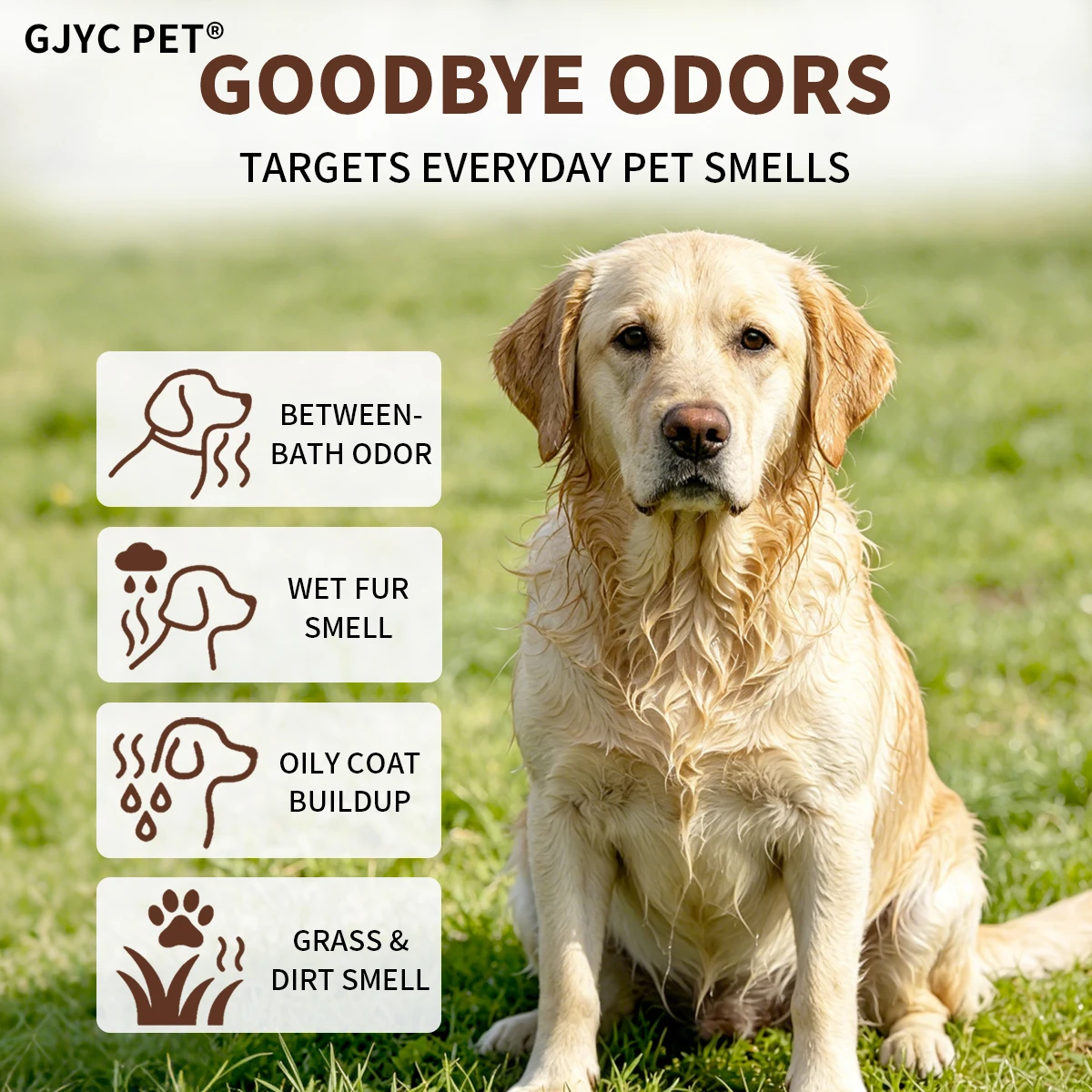 500ml Natural Pet Deodorizing Spray Coconut Scent Long Lasting Pet Safe Odor Eliminator Refreshing for Dogs Cats Daily Grooming