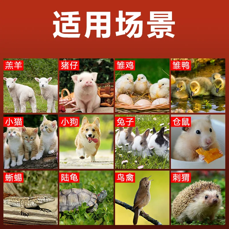 Haustierheizung, geräuschlose Isolierung, Licht...