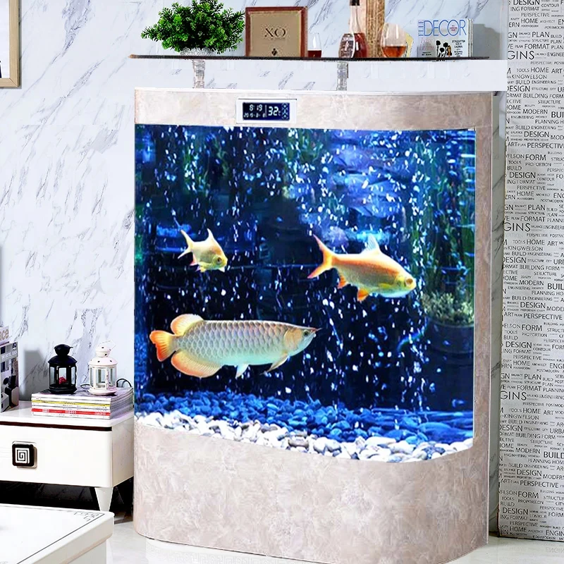 custom.Factory Supply Custom L - Aquarium Fish In ulasan dan harga