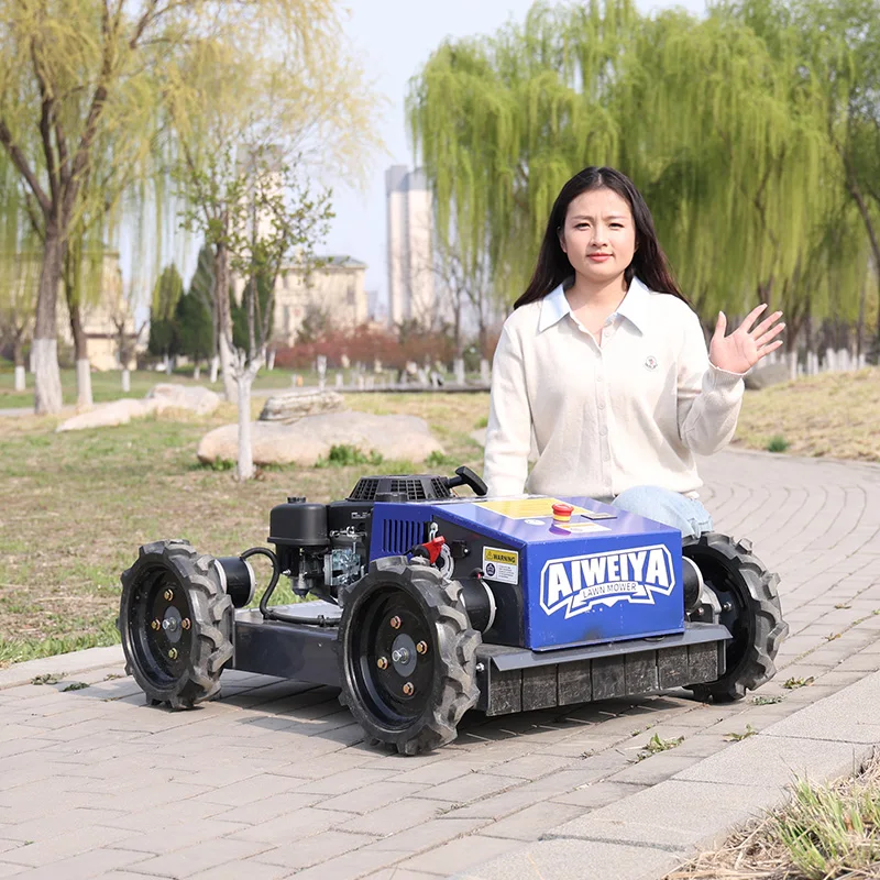 

Customized Lawn Mower Robot Self-Charging Intelligent Path Planning Low Noise Electric Mower for Home Villa Garden Grass Trimmin