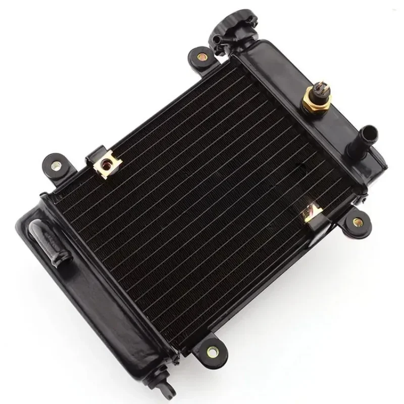 Water Cooling Tank Radiator For Bashan 200-7 250cc 200cc Electric ATV UTV Go Kart Buggy Parts