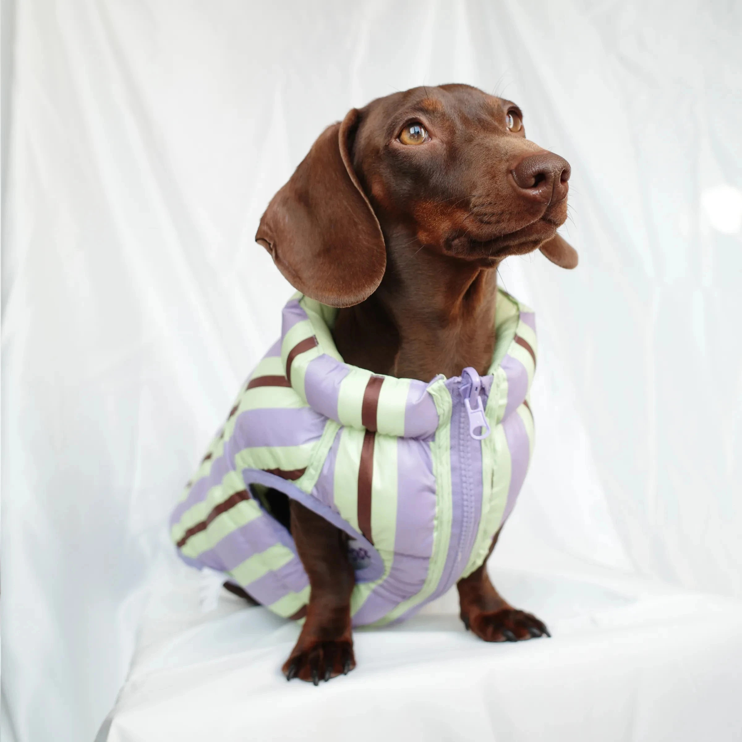 Winter-Daunenjacke für Dachshunde, dicke Weste für Wiener Hunde bei kaltem Wetter, leichter, warmer, ärmelloser Mantel für Dackelhunde – Detail 8