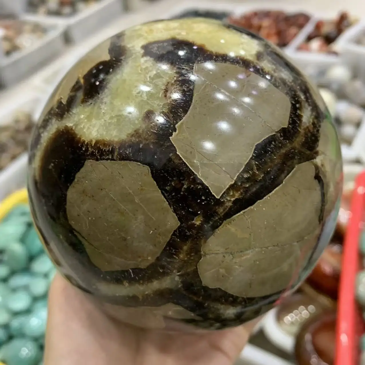 

Natural Turtle-Back Stone Crystal Quartz Sphere, Energy Gemstone, Healing With Qi, Aquarium Home Decoration, Divination, Demagne