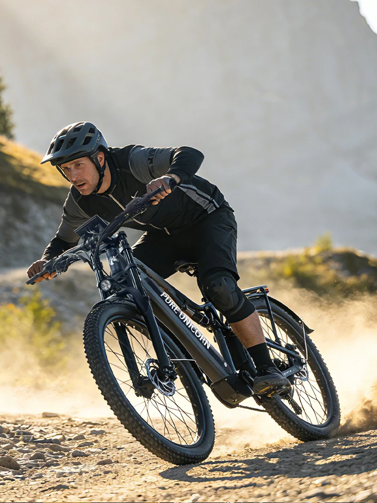 AliExpress PURE UNICORN U7 Dual Motor Electric Bike 48V 2000W 19.2Ah Adult Ebike Powerful Electric Bicycle 50KM/H Fat Bike Mountain Fatbike