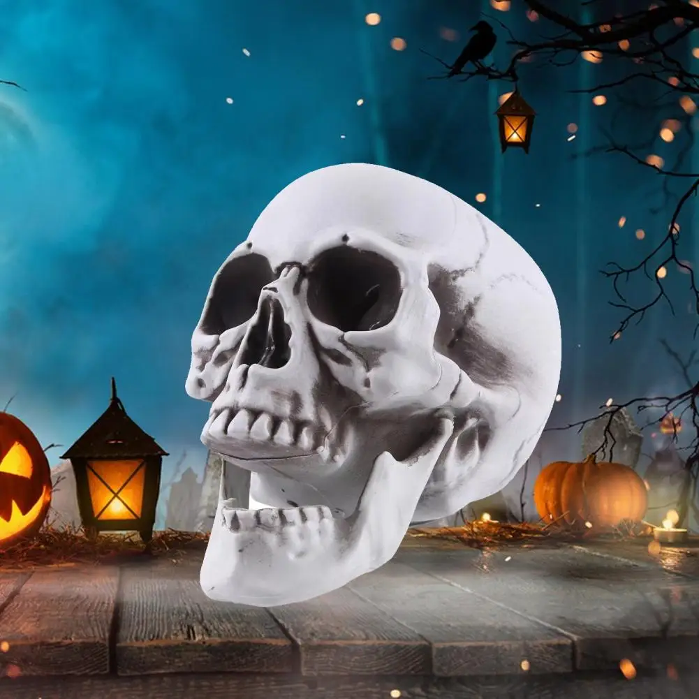 

Halloween Skull Props Halloween Skull Decoration Realistic Life Size Skull Model for Halloween Decor Outdoor Graveyard Skeleton