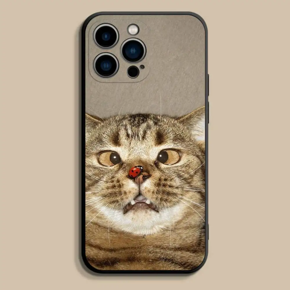Pet Cat Funny memeS Phone Case For iPhone 17,16,15,14,13,12,Pro,Max,Plus,E,SE4,Air,Mini Black Soft Cover