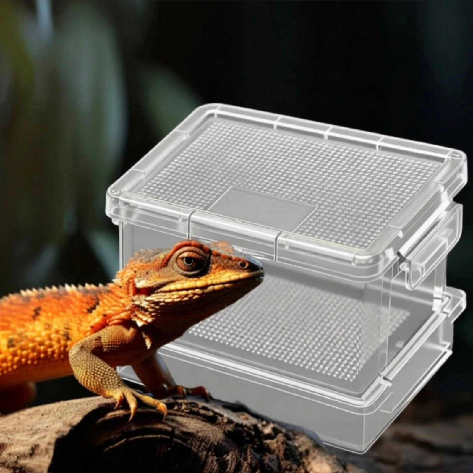2 Pieces Bug Habitat Tabletop Clear Plastic Breeding Box Pet Enclosure for Entomology Hobbyists, Home, Workbench